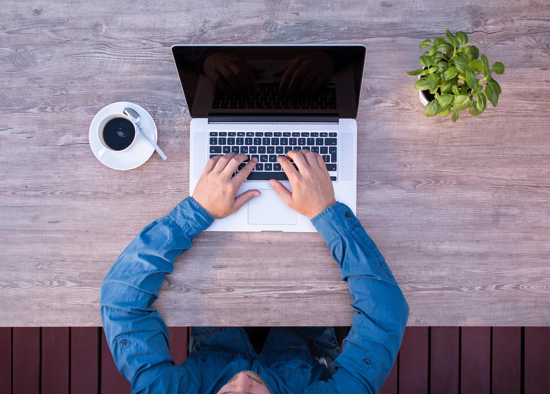 Empleabilidad en los profesionales de la información
